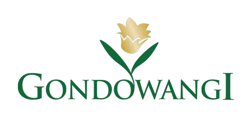 PT Gondowangi