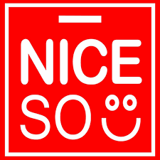 PT Niceso Sukses Indonesia